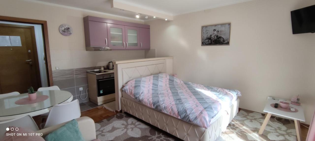 Alex 2 Apartman Vrnjačka Banja Esterno foto
