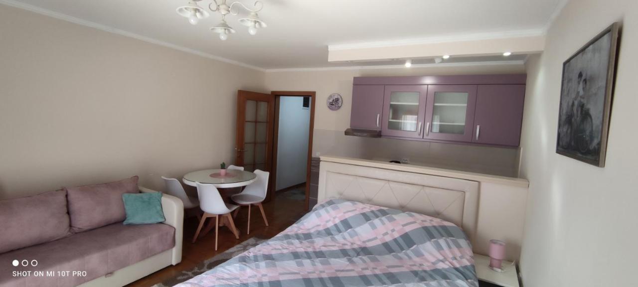 Alex 2 Apartman Vrnjačka Banja Esterno foto