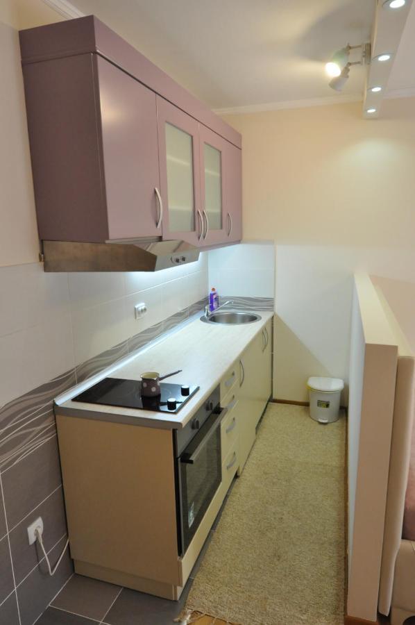 Alex 2 Apartman Vrnjačka Banja Camera foto